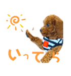 멍ㅇㅇㅇ이(犬)（個別スタンプ：2）