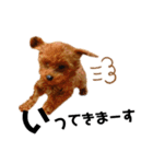 멍ㅇㅇㅇ이(犬)（個別スタンプ：3）