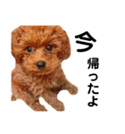 멍ㅇㅇㅇ이(犬)（個別スタンプ：4）