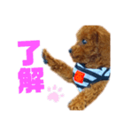 멍ㅇㅇㅇ이(犬)（個別スタンプ：6）