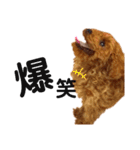 멍ㅇㅇㅇ이(犬)（個別スタンプ：7）