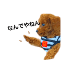 멍ㅇㅇㅇ이(犬)（個別スタンプ：9）