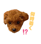 멍ㅇㅇㅇ이(犬)（個別スタンプ：10）