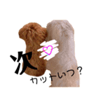 멍ㅇㅇㅇ이(犬)（個別スタンプ：12）