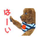 멍ㅇㅇㅇ이(犬)（個別スタンプ：13）