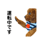 멍ㅇㅇㅇ이(犬)（個別スタンプ：18）