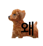 멍ㅇㅇㅇ이(犬)（個別スタンプ：19）