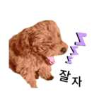 멍ㅇㅇㅇ이(犬)（個別スタンプ：21）
