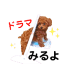 멍ㅇㅇㅇ이(犬)（個別スタンプ：22）