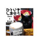 黒ネコ美素毛の日常（個別スタンプ：4）
