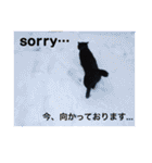 黒ネコ美素毛の日常（個別スタンプ：7）