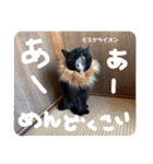 黒ネコ美素毛の日常（個別スタンプ：9）