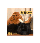 黒ネコ美素毛の日常（個別スタンプ：11）