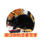黒ネコ美素毛の日常（個別スタンプ：35）