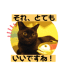 黒ネコ美素毛の日常（個別スタンプ：38）