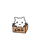 じっとり目の猫である。（個別スタンプ：30）