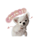 田母神さんちのスタンプ（個別スタンプ：14）