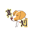 生き生き犬（個別スタンプ：3）