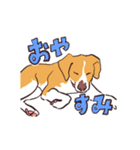 生き生き犬（個別スタンプ：6）