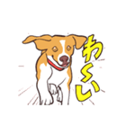 生き生き犬（個別スタンプ：7）