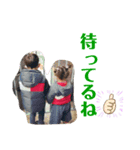 あらん、さら（個別スタンプ：6）