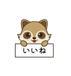 アライグマ日和（個別スタンプ：1）