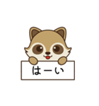 アライグマ日和（個別スタンプ：3）