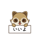 アライグマ日和（個別スタンプ：6）