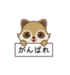 アライグマ日和（個別スタンプ：15）