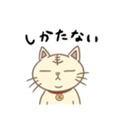 フーポ 〜ただ虎になりたいと願ったネコ〜（個別スタンプ：12）