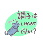 ほっこり身近な動物たち＊日常・敬語＊（個別スタンプ：6）