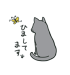 ジト目なねこ（個別スタンプ：13）