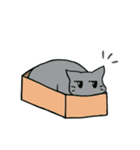 ジト目なねこ（個別スタンプ：22）