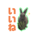 うちのとのくん2（個別スタンプ：2）