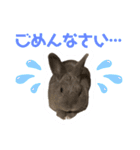うちのとのくん2（個別スタンプ：3）