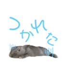うちのとのくん2（個別スタンプ：7）
