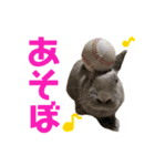 うちのとのくん2（個別スタンプ：8）
