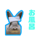 うちのとのくん2（個別スタンプ：12）