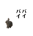 うちのとのくん2（個別スタンプ：13）