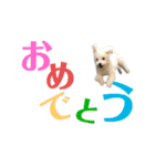 ポップさんの日常「第二弾」（個別スタンプ：14）