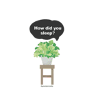 観葉植物ビックスタンプ 2（個別スタンプ：36）