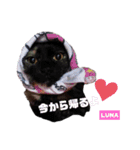 みらいねこ横濱⑥（個別スタンプ：9）