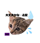 みらいねこ横濱⑥（個別スタンプ：32）