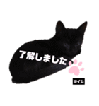 みらいねこ横濱⑥（個別スタンプ：34）