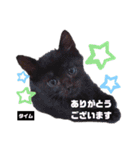 みらいねこ横濱⑥（個別スタンプ：35）