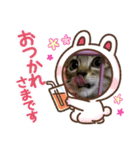 シャムキジドラ②（個別スタンプ：2）