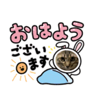 シャムキジドラ②（個別スタンプ：5）