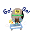 シャムキジドラ②（個別スタンプ：18）