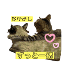 シャムキジドラ②（個別スタンプ：19）