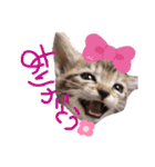 みらいねこ横濱⑤（個別スタンプ：4）